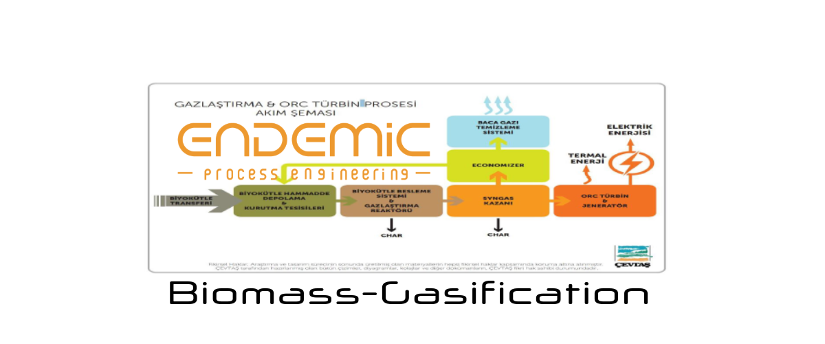 Endemic Bimagas Rejeneratif Biyokutle Gazlastirma Tabanli Enerji Uretim Tesisleri